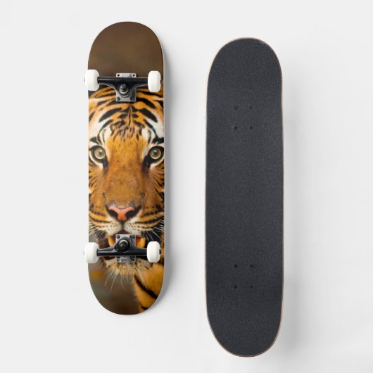 Tiger Skateboard (Vorderseite)