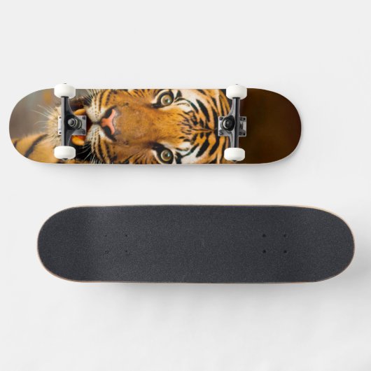 Tiger Skateboard (Horizontal)