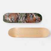 Tiger Skateboard (Horizontal)