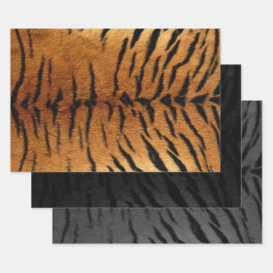 Tiger Skin Print in drei Farben Geschenkpapier Set