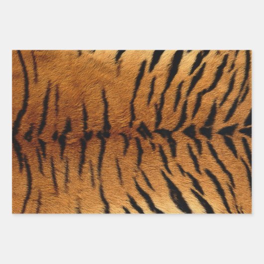 Tiger Skin Print in drei Farben Geschenkpapier Set (Vorderseite)