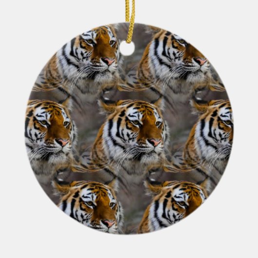 Tiger Skin Print, Safari Animal Gift Muster Keramik Ornament (Vorne)