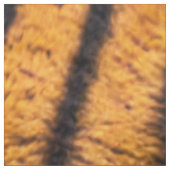 Tiger Skin Stoff (Muster)