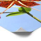 Tiger Sky Poster (Ecke)