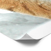 Tiger Snow Mountains Natur Winter Foto Poster (Ecke)