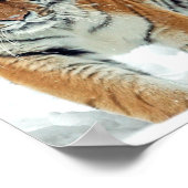 Tiger Snow Mountains Winter Nature Foto Poster (Ecke)