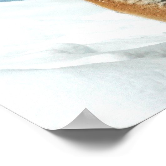 Tiger Snow Mountains Winterlandschaft Foto drucken Poster (Ecke)