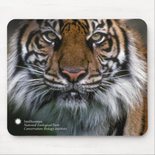 Tiger Soyono Smithsonian   Sumatran Mousepad