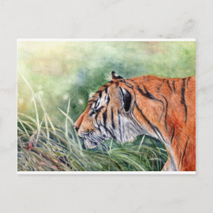 Tiger Spaziergang durch Dschungel Postkarte