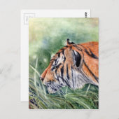 Tiger Spaziergang durch Dschungel Postkarte (Vorne/Hinten)