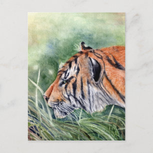 Tiger Spaziergang durch Dschungel Postkarte