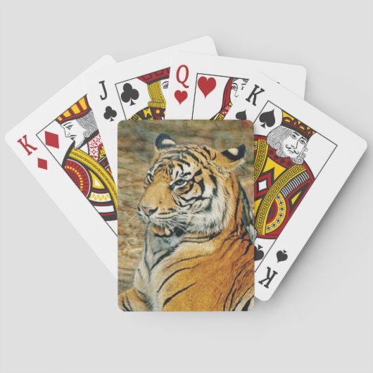 Tiger Spielkarten (Rückseite)