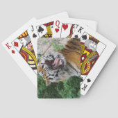 Tiger Spielkarten (Rückseite)