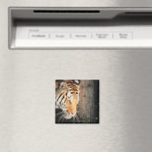 Tiger-Stalking Magnet (In Situ (Geschirrspüler))