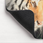 Tiger-Stalking Mousepad (Ecke)