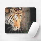 Tiger-Stalking Mousepad (Mit Mouse)