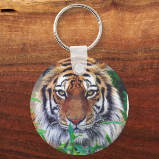 Tiger Stare Schlüsselanhänger (Vorderseite)