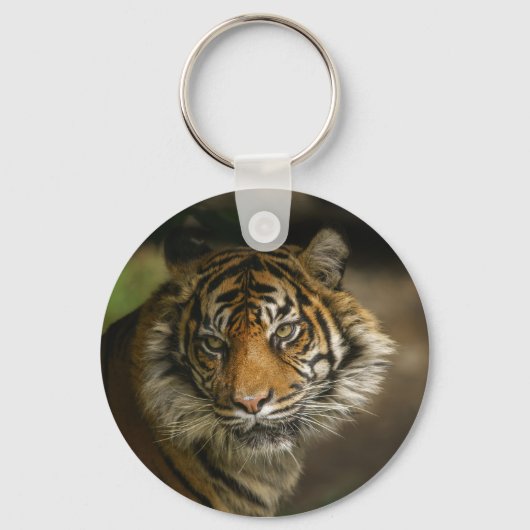 Tiger Stare Schlüsselanhänger (Vorderseite)