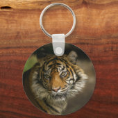 Tiger Stare Schlüsselanhänger (Vorderseite)