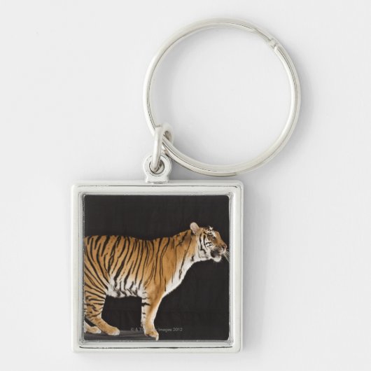 Tiger stehend auf Plattform Schlüsselanhänger (Vorne)