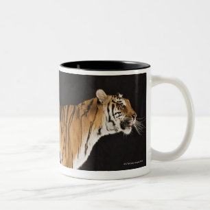 Tiger stehend auf Plattform Zweifarbige Tasse