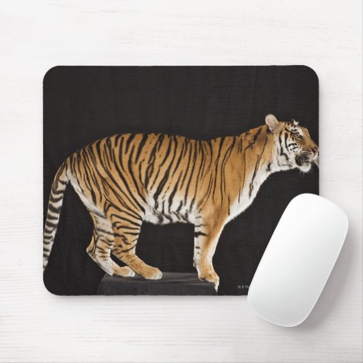 Tiger stehend mousepad (Mit Mouse)