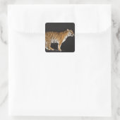 Tiger stehend quadratischer aufkleber (Tasche)