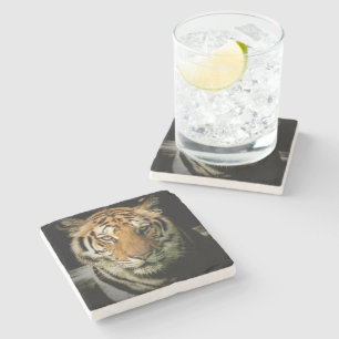 Tiger Steinuntersetzer