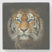Tiger Steinuntersetzer (Vorderseite)