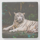 Tiger Steinuntersetzer (Vorderseite)
