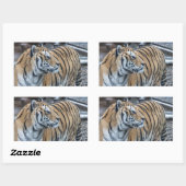 Tiger Stickers (Blatt)