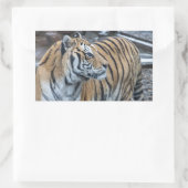 Tiger Stickers (Tasche)
