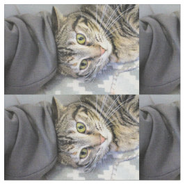 Tiger Stoff