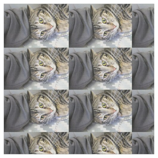 Tiger Stoff (Muster)