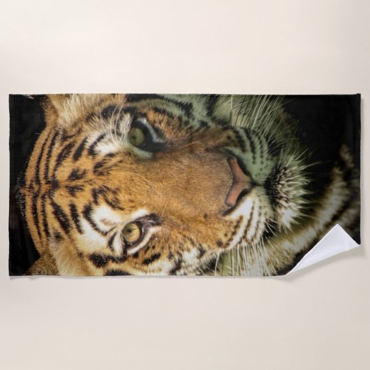 Tiger Strandtuch (Vorderseite)