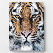Tiger Streifen Portrait in Grafik-Press-Stil Fotoplatte (Vorderseite)