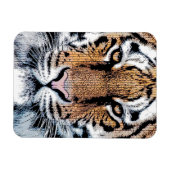 Tiger Streifen Portrait in Grafik-Press-Stil Magnet (Horizontal)