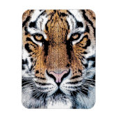 Tiger Streifen Portrait in Grafik-Press-Stil Magnet (Vertikal)