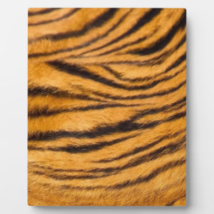 Tiger Streifen schwarz und orange personalisieren Fotoplatte