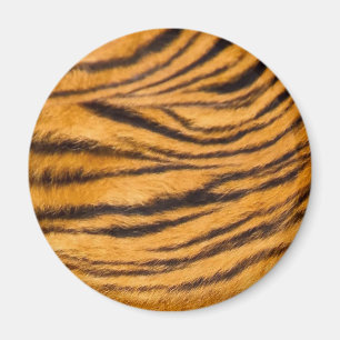 Tiger Streifen schwarz und orange personalisieren Magnet