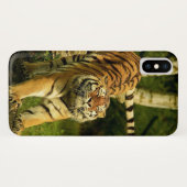 Tiger Stretching Good Morning World Case-Mate iPhone Hülle (Rückseite (Horizontal))