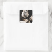Tiger Strings – Elegante Musikkunst Quadratischer Aufkleber (Tasche)