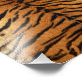 Tiger Strip Fur Print Fotodruck (Ecke)