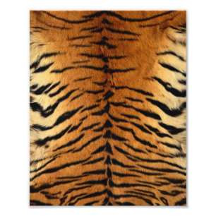 Tiger Strip Fur Print Fotodruck