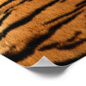 Tiger Strip Fur Print Poster (Ecke)