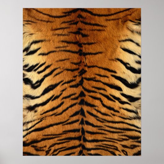 Tiger Strip Fur Print Poster (Vorne)