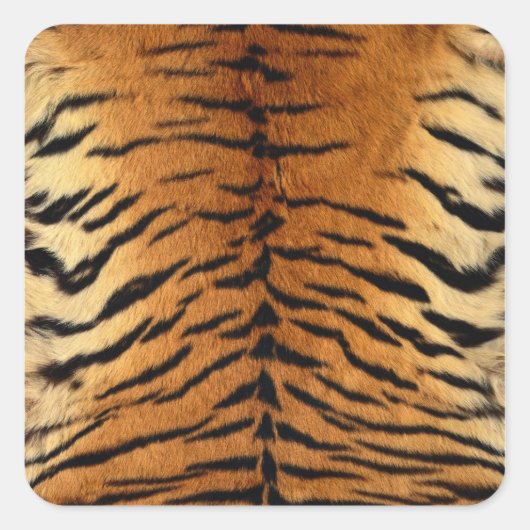 Tiger Strip Fur Print Quadratischer Aufkleber (Vorderseite)