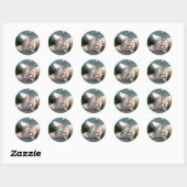Tiger Stripe Kitten Stickers (Blatt)