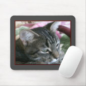 Tiger Stripe Kitty Mouse Pad Mousepad (Mit Mouse)