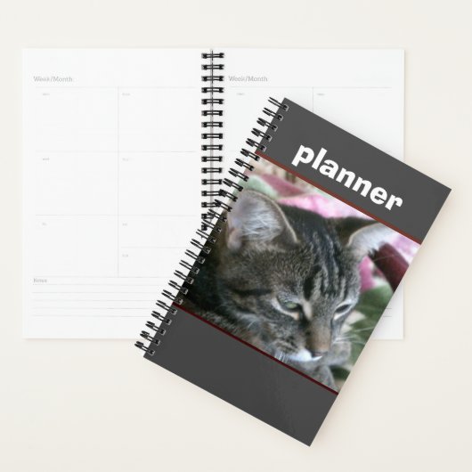 Tiger Stripe Kitty Planner Planer (Anzeige)
